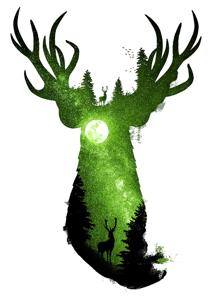 Deep in the Forest
