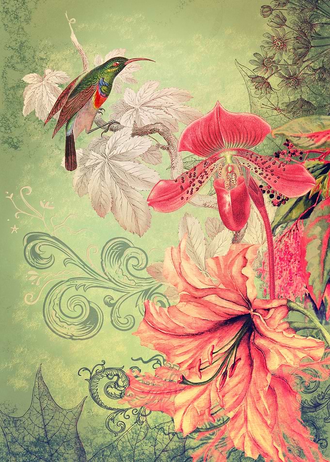 Song Garden Collage