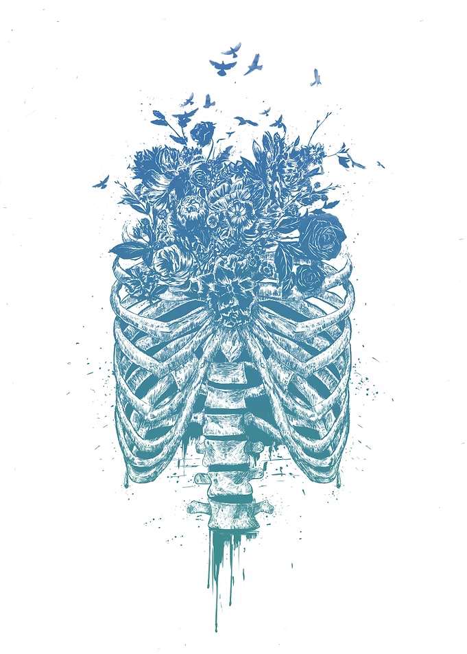 New life