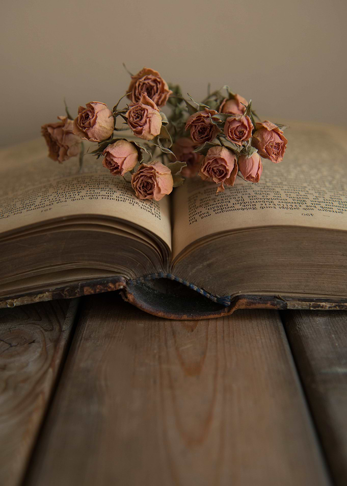 An old book and dry roses