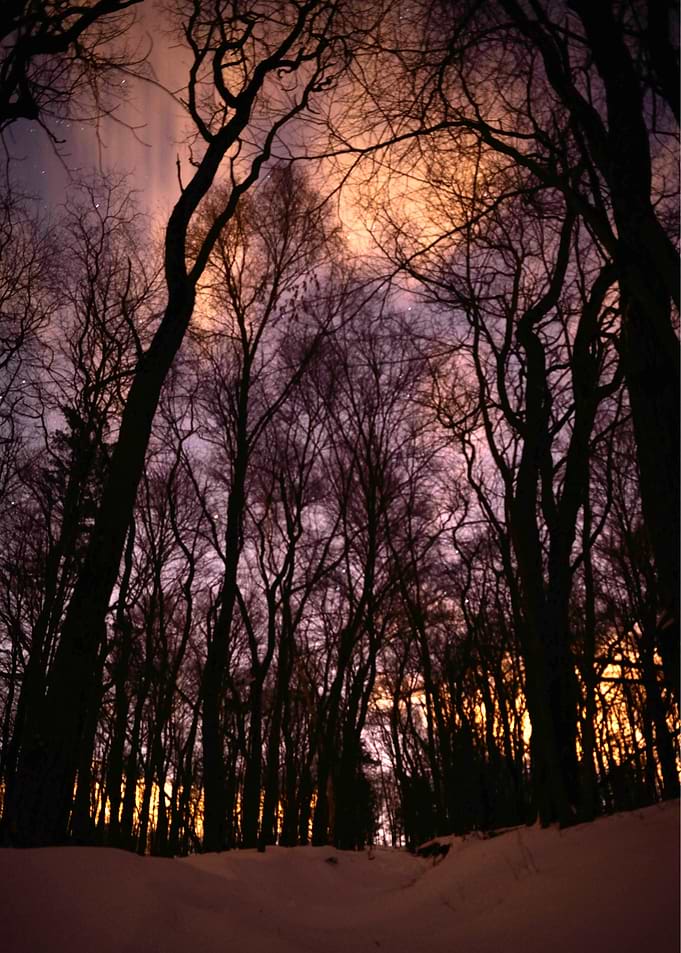 Long exposure of a cold winter night.