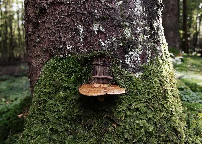 Little Door