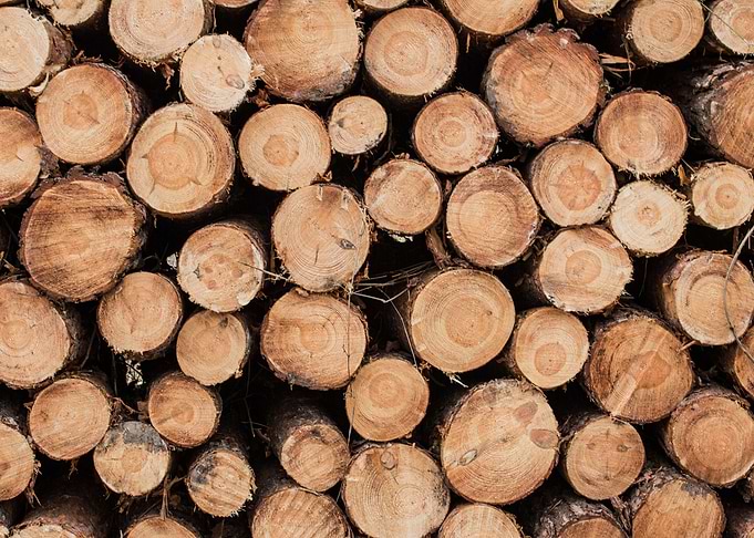 I like to call this style of Pictures Woodart. The colo ...