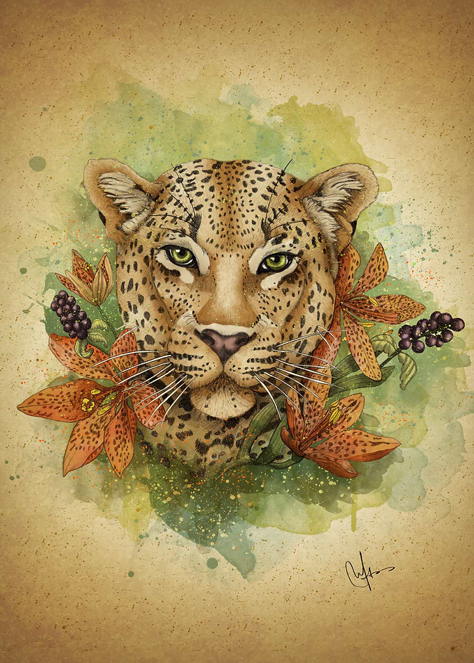Leopard