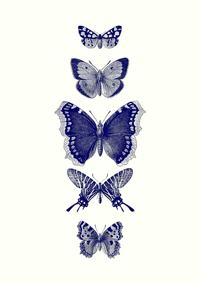 INKED BUTTERFLY by MONIKA STRIGEL