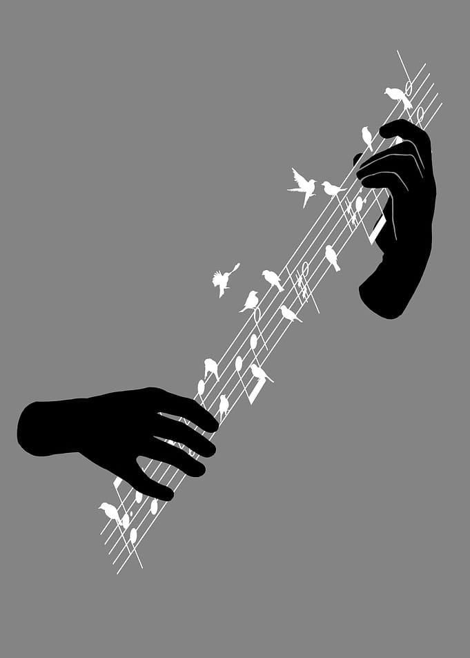 String Birds