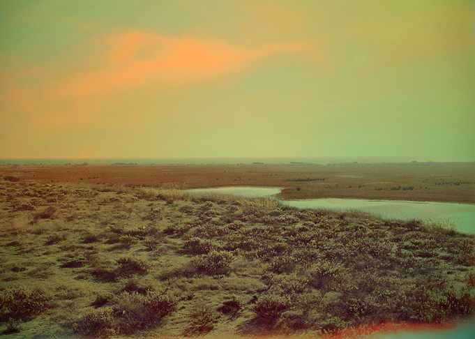 'Lonely Landscape'