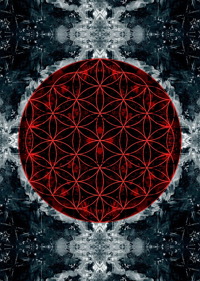 flower of life dr