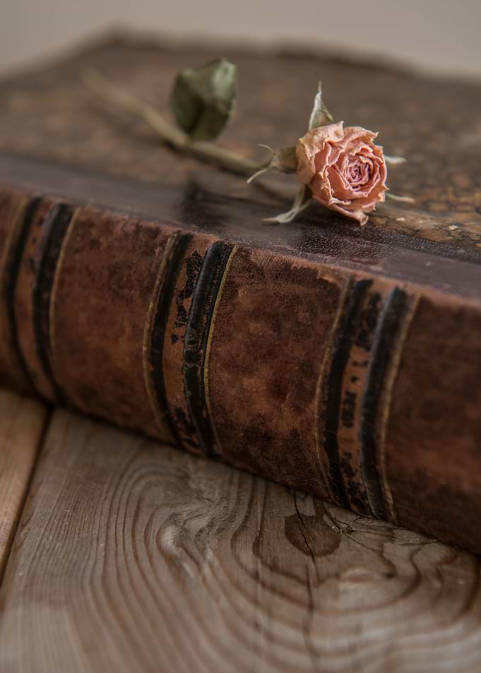 An old book and dried pink rose