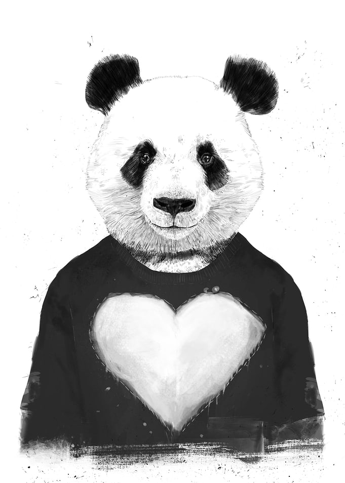 Lovely panda