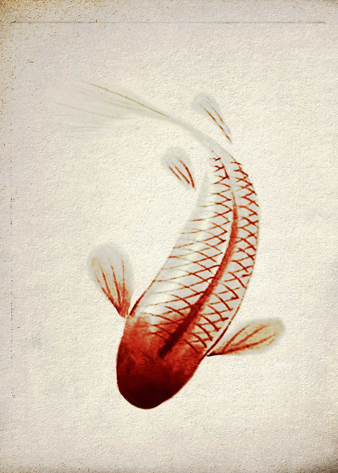 Red and Silver Koi