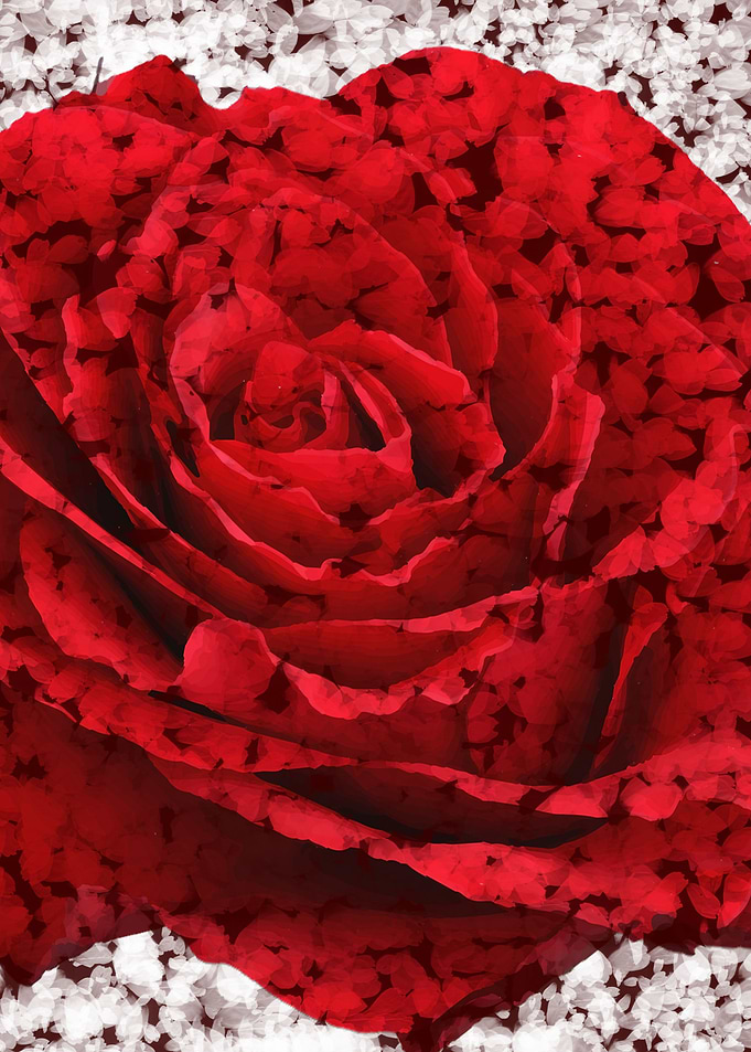 Bed of Roses