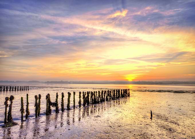 Tide Out