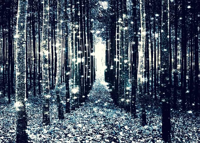 Magical Forest Gray/Teal