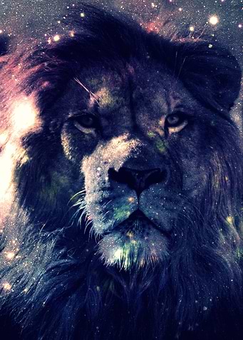 Leo Lion : Deep Pastels My has collected lions my entir ...