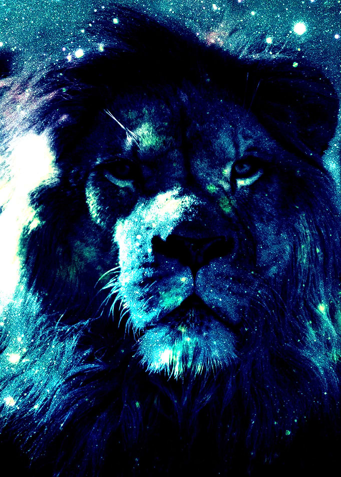 Leo Lion : Bold Teal My has collected lions my entire ...