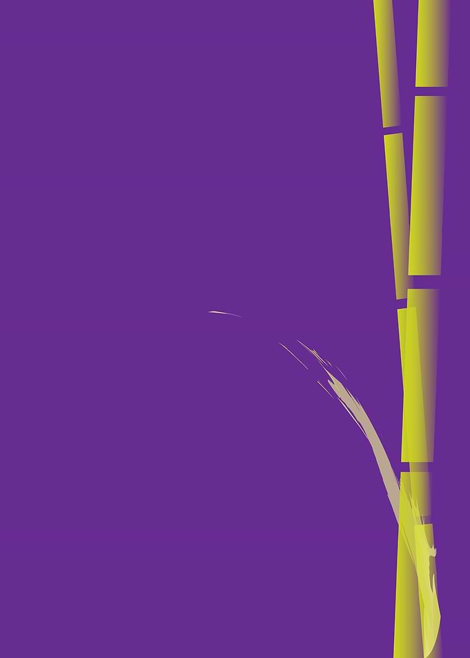 Bamboo 03