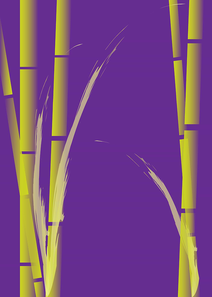 Bamboo 01