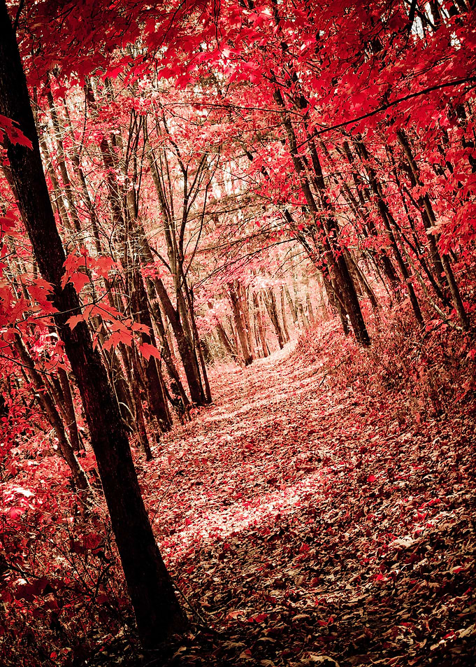 Blackhawk trail in the beautiful Kickapoo Valley Reserv ...