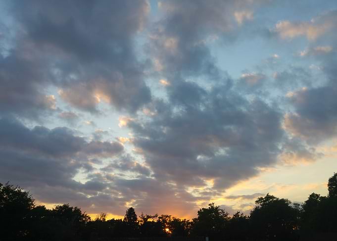 Sunset Trees