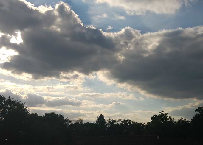 Tress Daytime