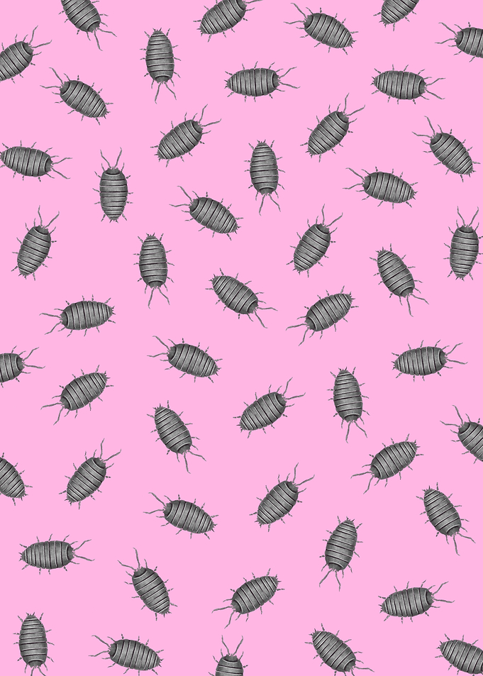 Isopods x Isopods If one thing is never enough, try lo ...