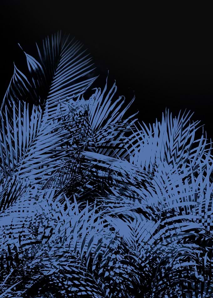 Palm 2