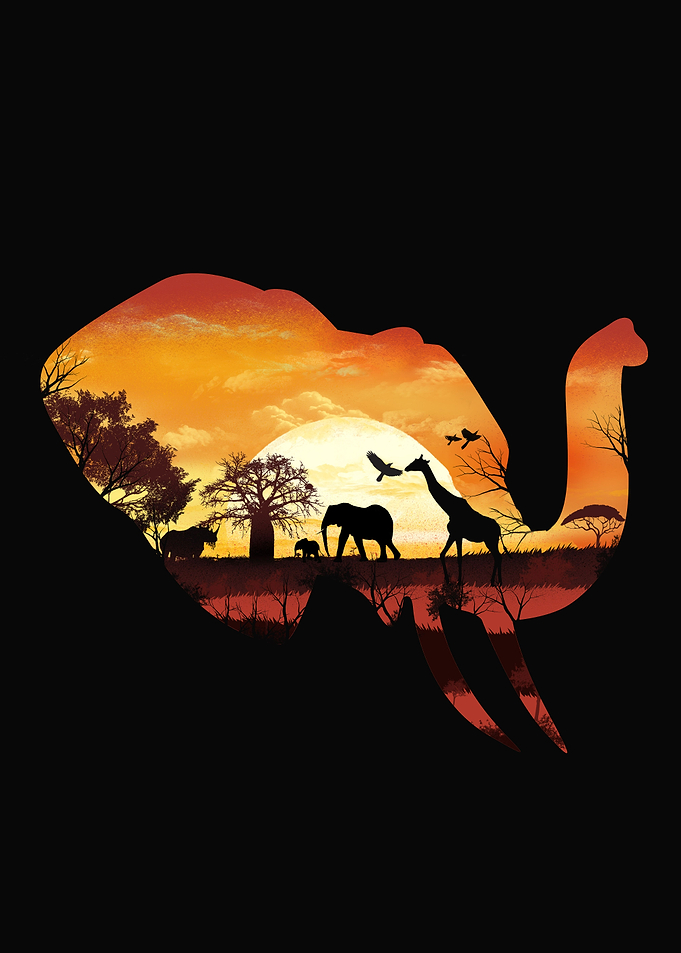 African Elephant