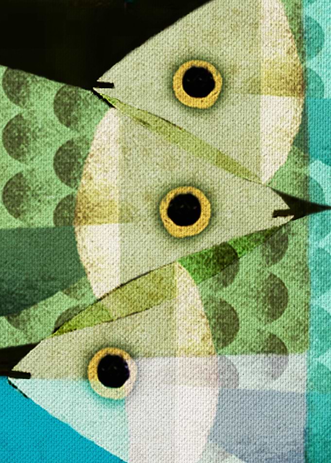 Fish Boxed