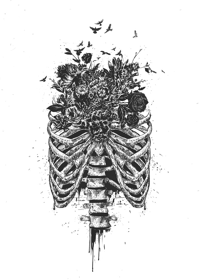 New life (b&w)