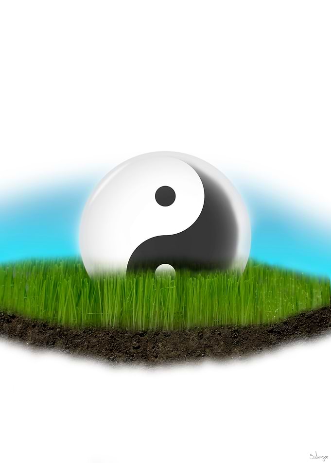 Ying Yang glas ball in meadow.