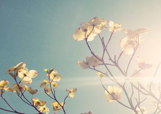White Light