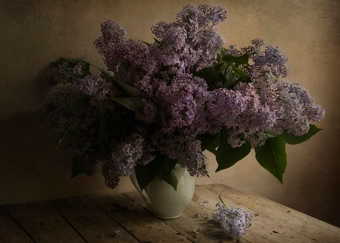 Still life with fresh lilac