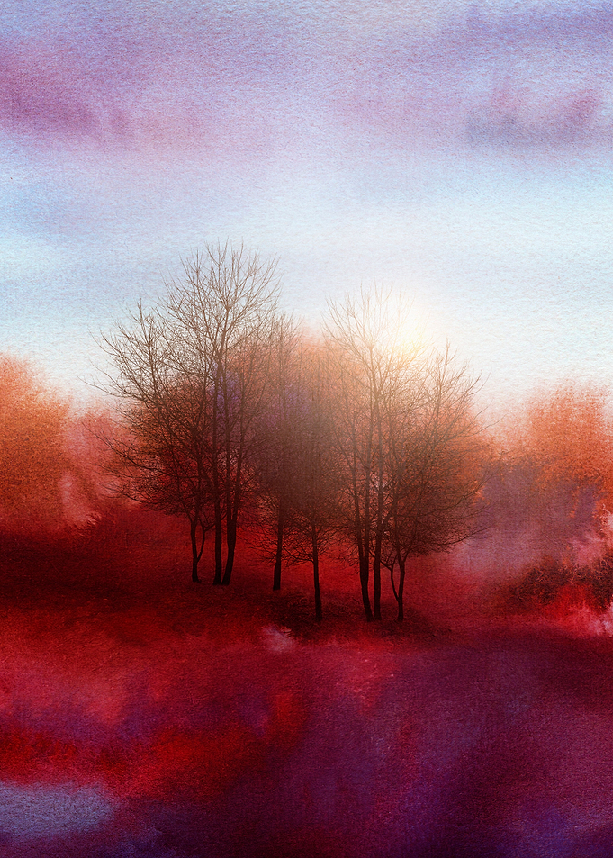 Calling the Sun XIV