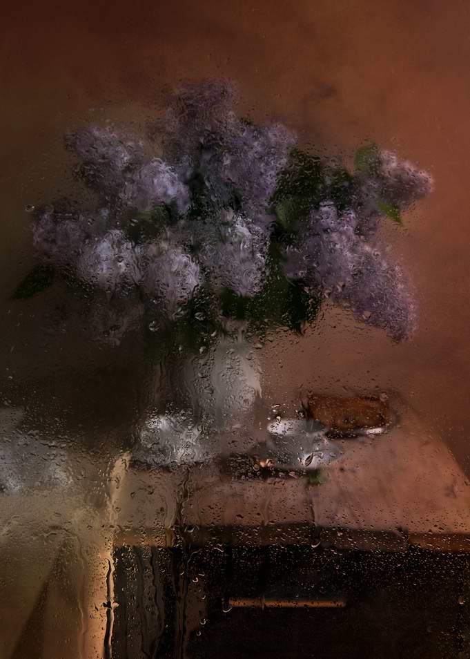 When the rain comes - still life with fresh lilac
