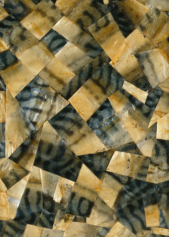 Fish skin collage