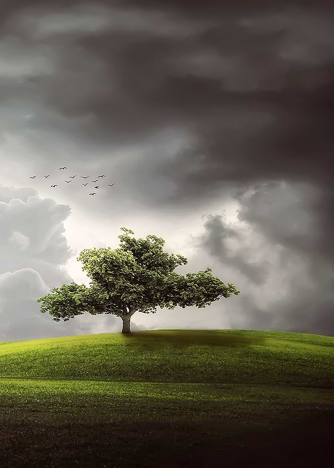 Before the Rain
