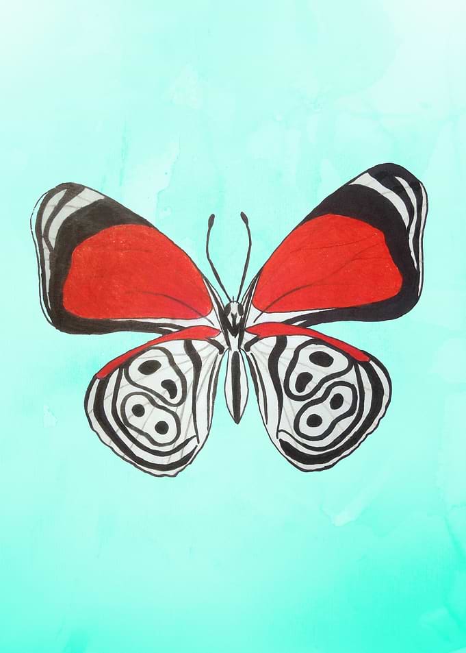 Ink and Prismacolor Illustration of an 88 butterfly