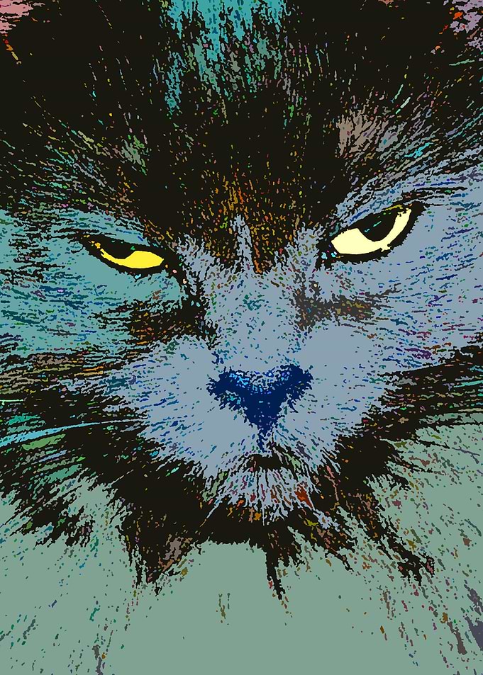 Pop Kitty