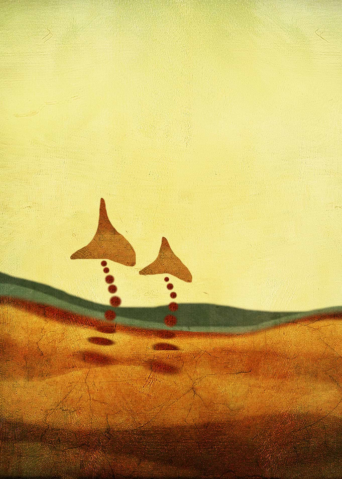 Amigos