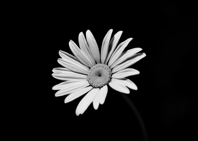 Alone in the Darkness