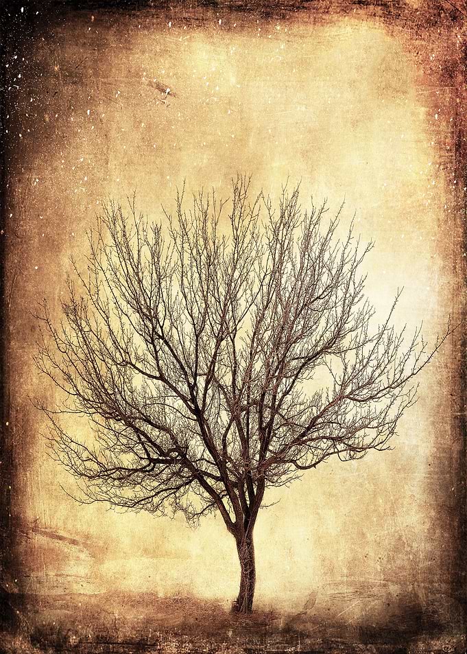 The Awakening