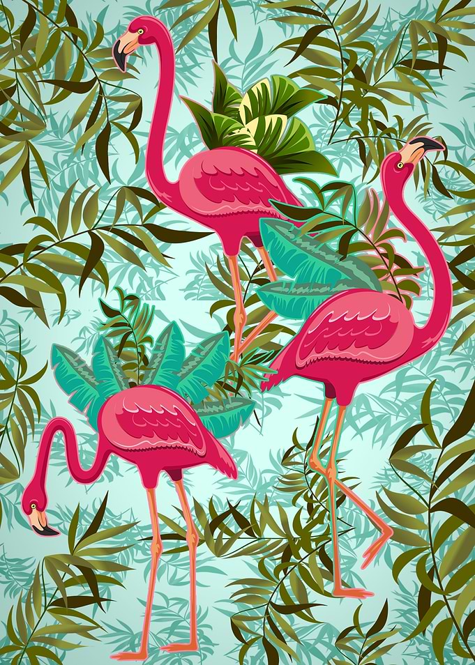 Pink Flamingos Exotic Birds