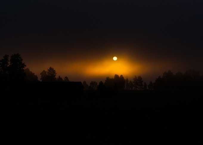 Misty Morning