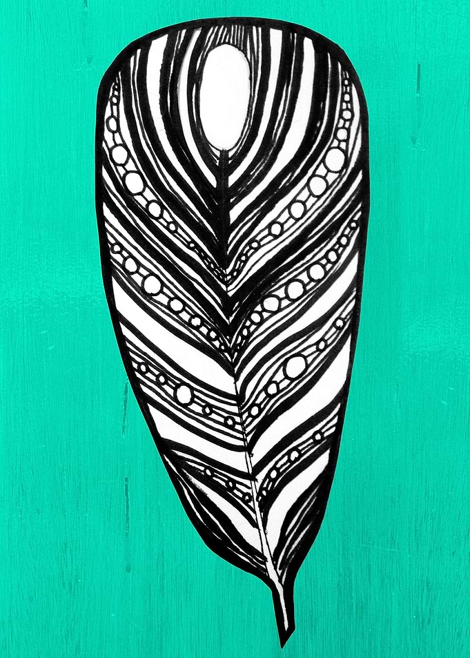 Ink illustration of a feather with a teal background
