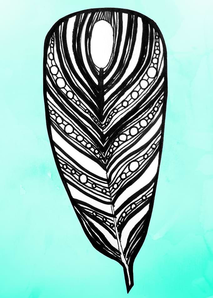 Feather illustration over a blue background
