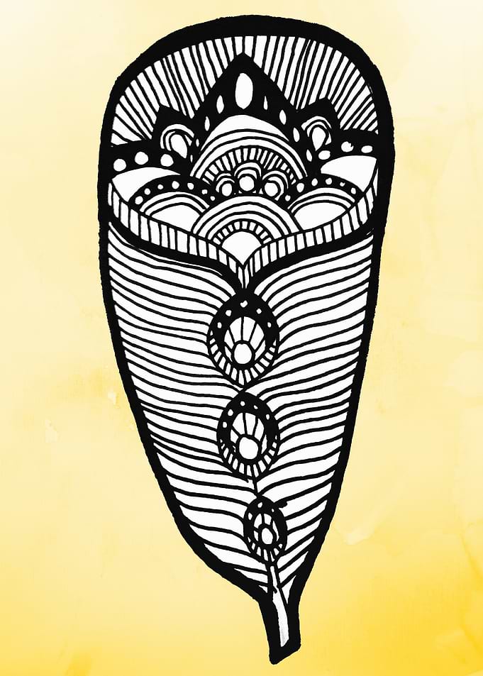 feather illustration over a yellow background