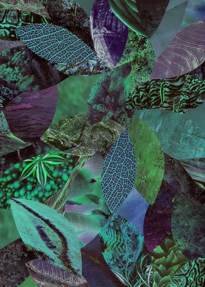 Nature Collage