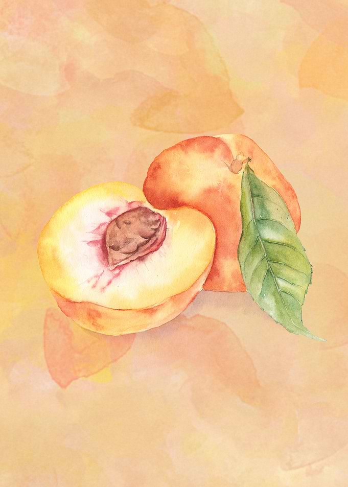 Peaches in watercolor on a background.