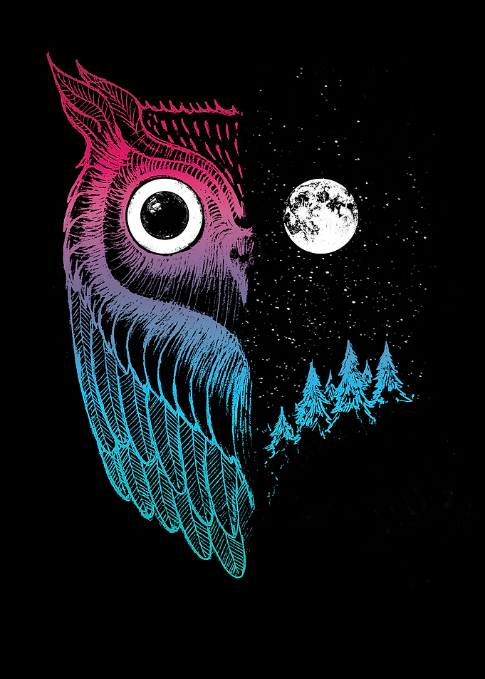 Night Owl